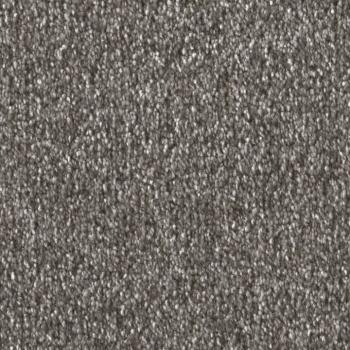 Draufsicht auf Vorwerk Celina 7H51 eisenschmelz Teppichboden mit Preisschild 79,95 €/m²